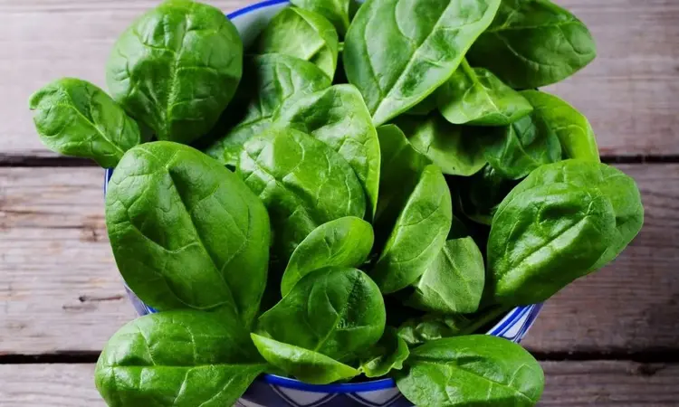 protein içeren sebzeler
