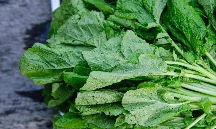 protein içeren sebzeler