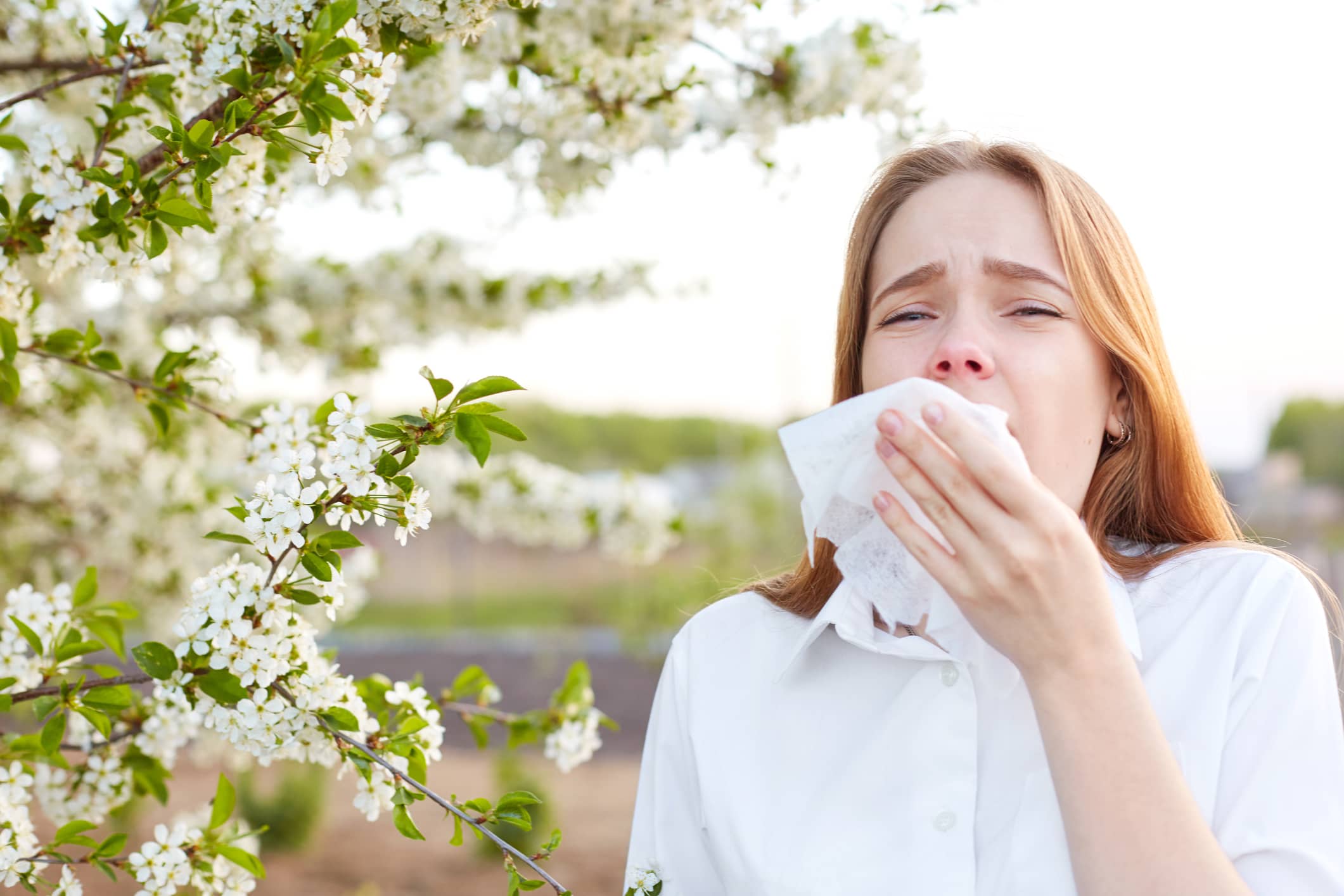 alerji ve virüs nasıl ayırt edilir