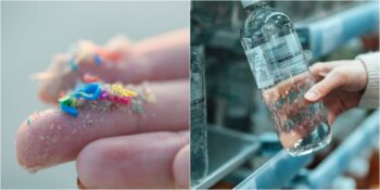 Yeni Araştırma: Bir Litre Pet Şişe İçerisindeki Suda İnsan Sağlığını Tehdit Eden 240.000 Nanoplastik Var