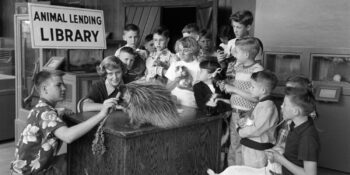 Hayvan Kütüphanesi: Kitaplar Yerine Egzotik Canlıların Ödünç Verildiği Sıra Dışı Bir Yer