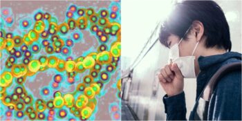 Rekor Hızla Yayılıyor! Japonya’da “Gizemli” Salgın Sebebiyle 21 Kişi Yaşamını Kaybetti