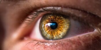 Dünyanın En Nadir Göz Renklerinden Biri Olan Ela Hakkında 10 Şaşırtıcı Gerçek