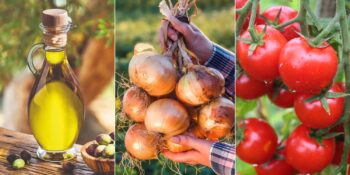 Buzdolabına konulmaması gereken yiyecekler