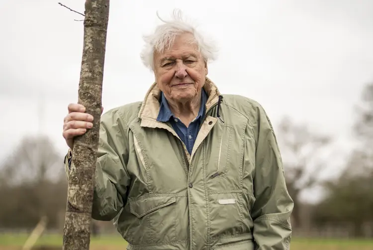 David Attenborough