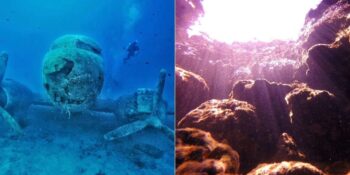 Su Altı Dünyasını Keşfedebileceğiniz Türkiye’nin En İyi Dalış Noktaları