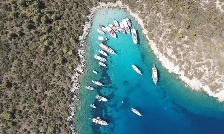 Türkiye'nin en iyi dalış noktaları