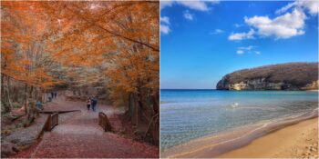 Fatih Çeşmesi’nden Çilingöz’e: İstanbul’da Mutlaka Görmeniz Gereken 10 Tabiat Parkı