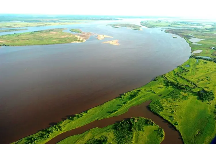 Amur Nehri