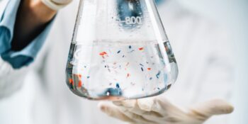 Yeni Araştırma: İnsanların Ve Köpeklerin Testislerinde Mikroplastik Tespit Edildi