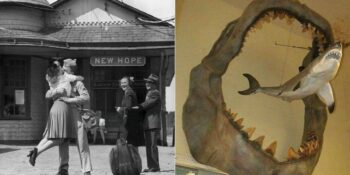 Gördüğünüz Anda Sizi Yıllar Öncesine Götürecek 34 Tarihi Fotoğraf