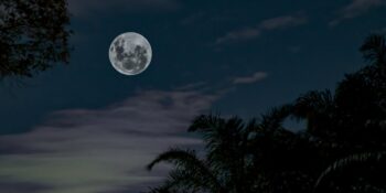 Haftalık Burç Yorumları: 6-12 Mayıs Haftası Sizi Neler Bekliyor?