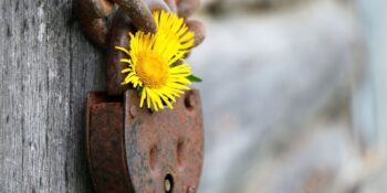 Çoğu İnsanın Hayata Dair Yanlış Anladığı 8 Şey