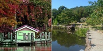 Atatürk Arboretumu Nerede, Nasıl Gidilir, Giriş Ücreti Ne Kadar?