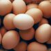 Faydalı Mı Zararlı Mı? Her Gün Yumurta Yerseniz Vücudunuza Neler Olur?