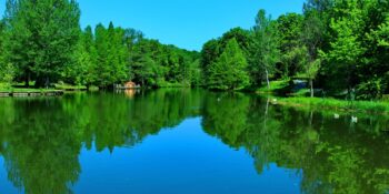 Atatürk Arboretumu Nerede, Nasıl Gidilir, Giriş Ücreti Ne Kadar?