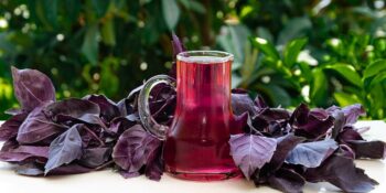 Şifa Deposu! Faydaları Saymakla Bitmeyen Reyhan Şerbeti Nasıl Yapılır?