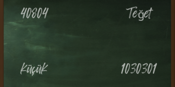 Tersten Okunsa da Anlamı Değişmiyor! Palindrom Nedir, Palindrom Örnekleri Nelerdir?