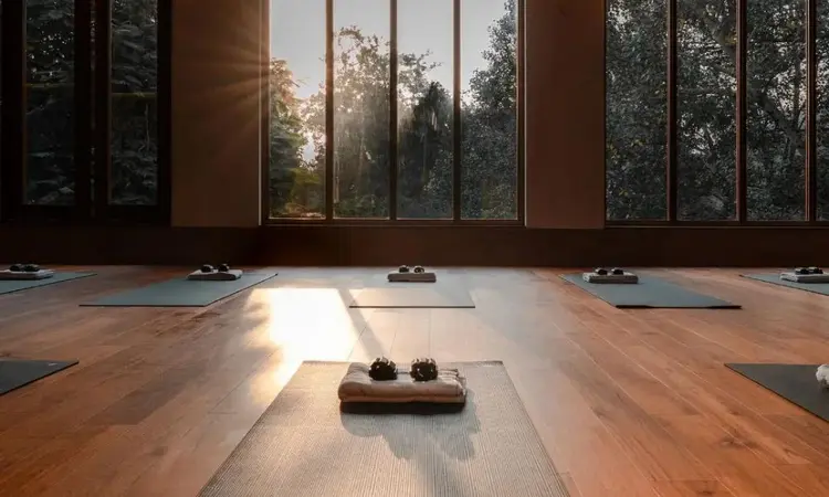 Vastu Shastra nedir