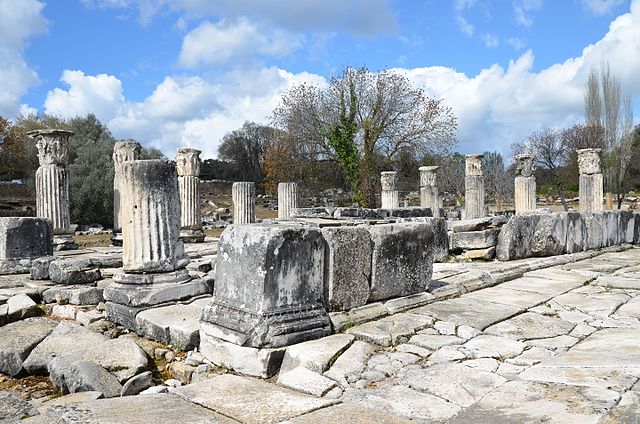 en yaşlı anıt ağaçları