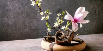 Japonya’nın Çiçek Düzenleme Sanatı Ikebana Nedir, Nasıl Yapılır?