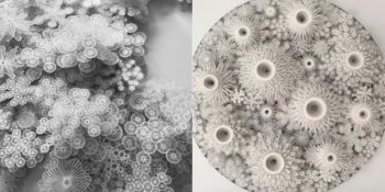 Rogan Brown: Doğadaki Desenlerden İlham Alarak Kağıt Heykeller Yapan Sanatçı