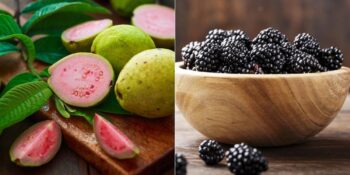 Tavuk ve Et Yemekten Sıkılanlar İçin Protein İçeriği Yüksek 9 Meyve