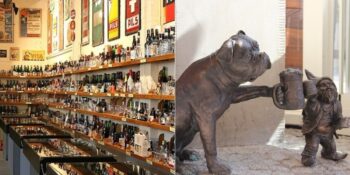 Dublin’den Pilsen’e: Avrupa’nın En İyi Biralarını İçebileceğiniz 8 Şehir