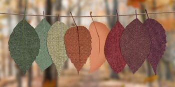 Yılın En Romantik Mevsimi Olan Sonbaharda Yapraklar Neden Renk Değiştirir?