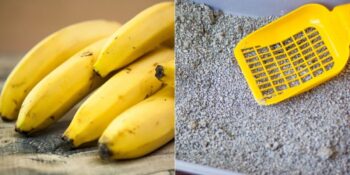 Günlük Hayatımızda Farkında Olmadan Maruz Kaldığımız 9 Radyasyon Kaynağı