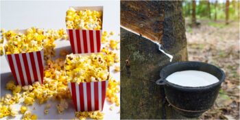 Lateksten Patlamış Mısıra: Günümüzde Hâlâ Kullanılan 7 Aztek İcadı