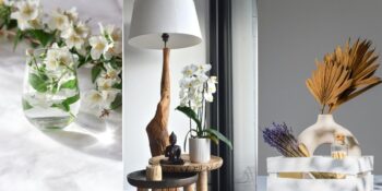 Evin Enerjisini Yükselten Bitkiler: Evinizdeki Negatif Enerjiyi Temizleyecek 10 Bitki