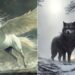 Pegasus’tan Fenrir’e: Dünyanın Dört Bir Yanından 10 Efsanevi Yaratık