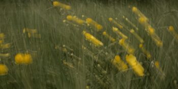 Haftalık Burç Yorumları: 18- 24 Kasım Haftasında Sizi Neler Bekliyor?