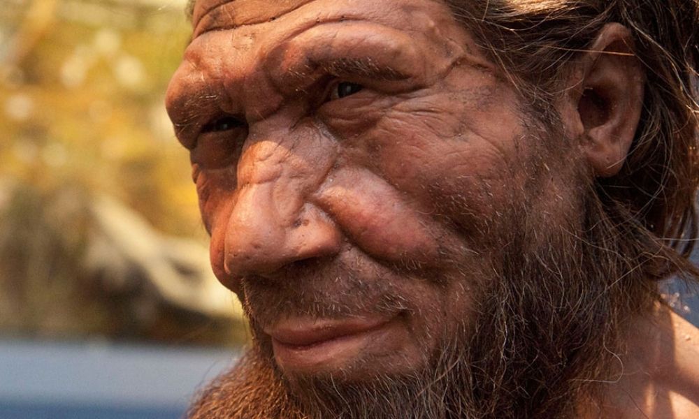 Neandertaller hakkında