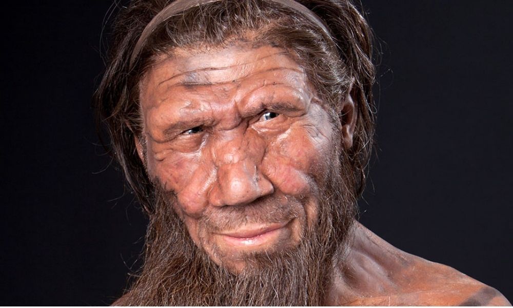 Neandertaller hakkında