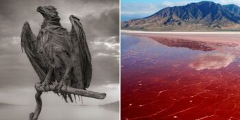 Suyuna Dokunan Taşa Dönüşüyor! Tanzanya’daki Natron Gölü Hakkında Bilmeniz Gerekenler