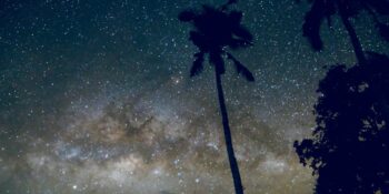 Burçların Elementleri: Ateş, Toprak, Hava ve Su Gruplarının Özellikleri