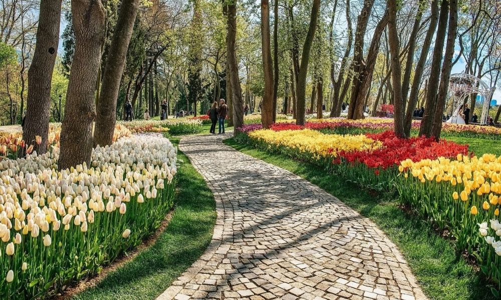 istanbul'un en iyi semtleri