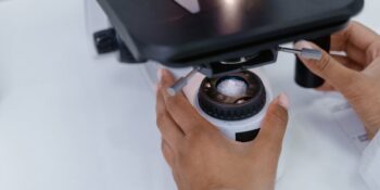 2024 Yılında İnsanlığa Büyük Bir Umut Kaynağı Olan Tıp Dünyasındaki 9 Gelişme