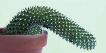 Uzmanlar Açıklıyor! Seks Terapistlerine En Çok Sorulan 8 Soru ve Cevapları