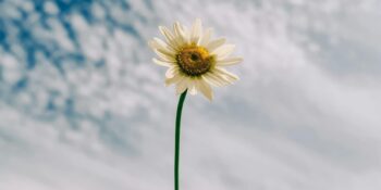 Haftalık Burç Yorumları: 24 Şubat-2 Mart 2025 Tarihlerinde Sizi Neler Bekliyor?