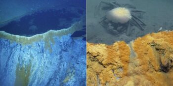 Ölüm Jakuzisi: İçine Giren Hiçbir Canlının Hayatta Kalamadığı Denizlerin Dibindeki Tuzlu Su Havuzu