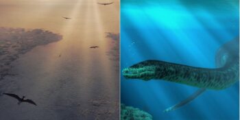 Tetis Denizi: Milyonlarca Yıl Önce Anadolu’nun Üzerini Örten Devasa Su Kütlesi