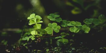 Bu Tarihleri Not Alın! Burcunuza Göre 2025 Yılındaki En Şanslı Günleriniz