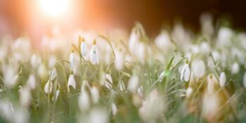 İlkbahar Ekinoksu Başlıyor! 17-23 Mart Haftalık Burç Yorumları