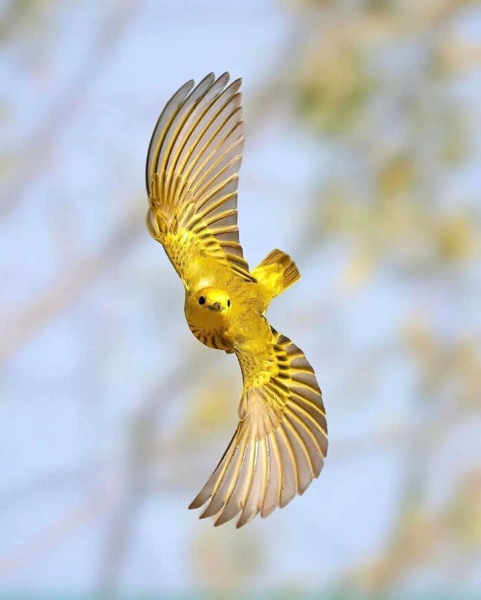 doğanın harika olduğunu gösteren fotoğraflar