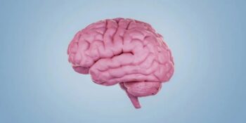 Aslında Çoklu Görevler Yapmaya Uygun Değil! İnsan Beyni Hakkında Bilmeniz Gereken 11 İlginç Gerçek