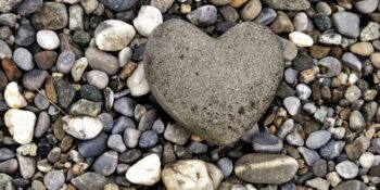 Grey Rock (Gri Kaya) Tekniği: Manipülatif Kişilerle Başa Çıkmak İçin Geliştirilen İletişim Stratejisi