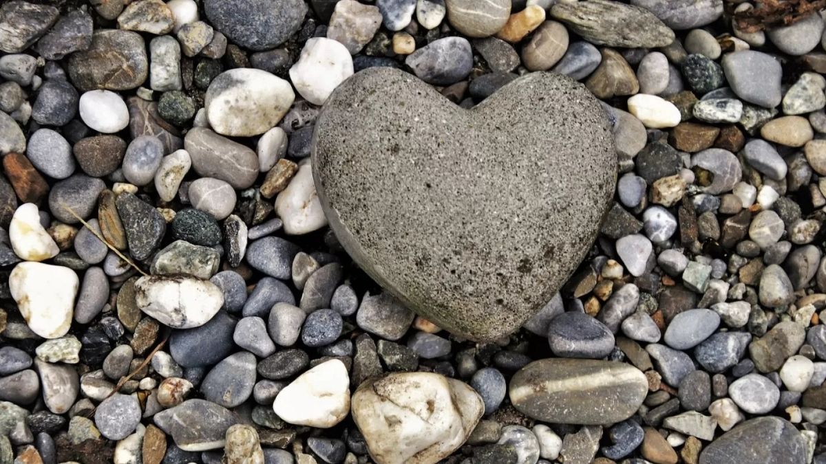 Grey Rock (Gri Kaya) Tekniği Nedir, Nasıl Uygulanır? | ListeList.com